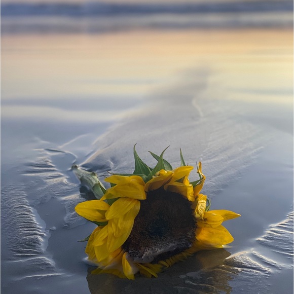 Meet your Posher, AMI - Picture 10 of 15